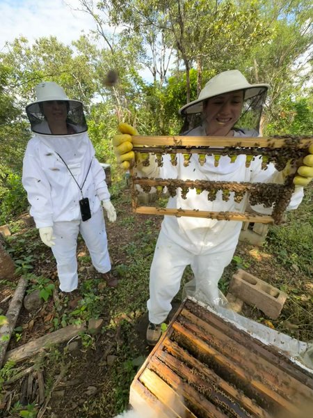 Iniciación al aprovechamiento apicultura