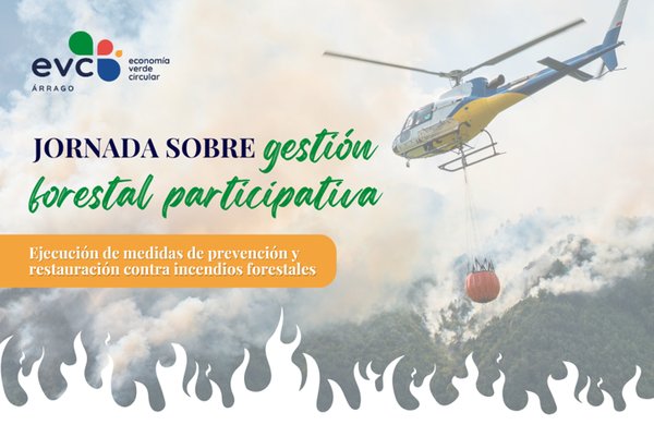 Conclusiones y propuestas de las Jornadas de Gestión Forestal Participativa